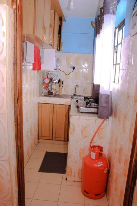 Cozy Homes 1 Bedroom House With Wi-Fi King Size Bed. Free Parking Naivasha Exterior foto